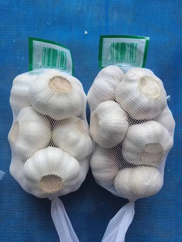 1d244b14-5d7a-4949-8c23-4470ee6d776b(001)