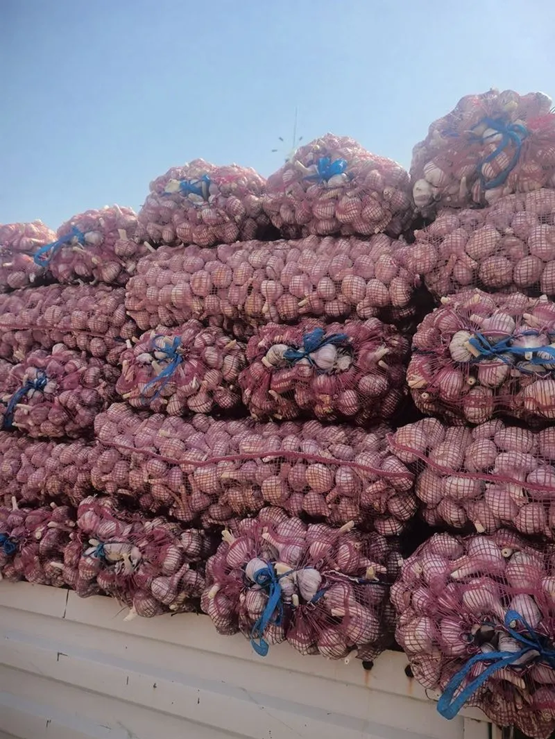 2025 नई लहसुन