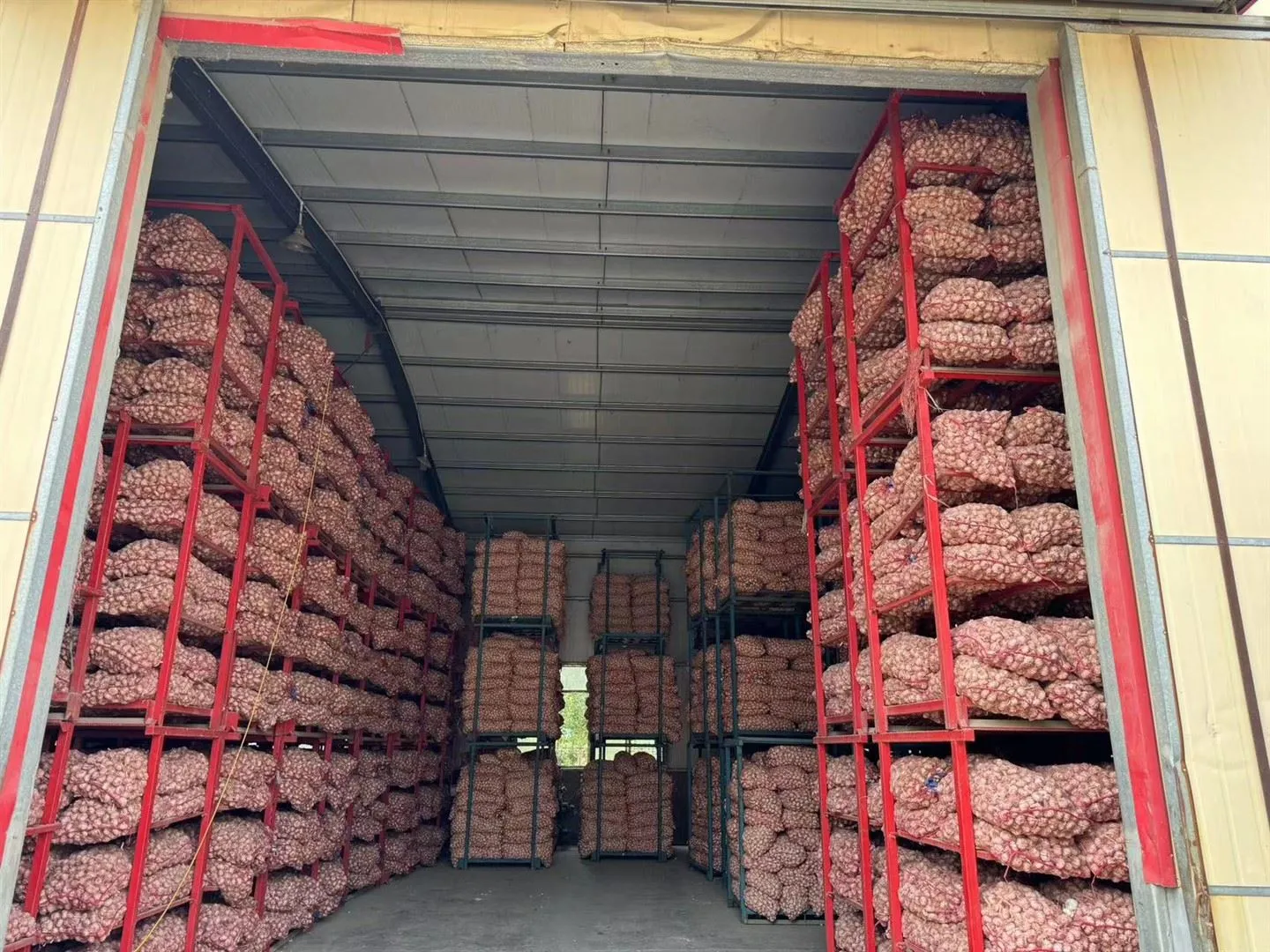 संग्रहित लहसुन