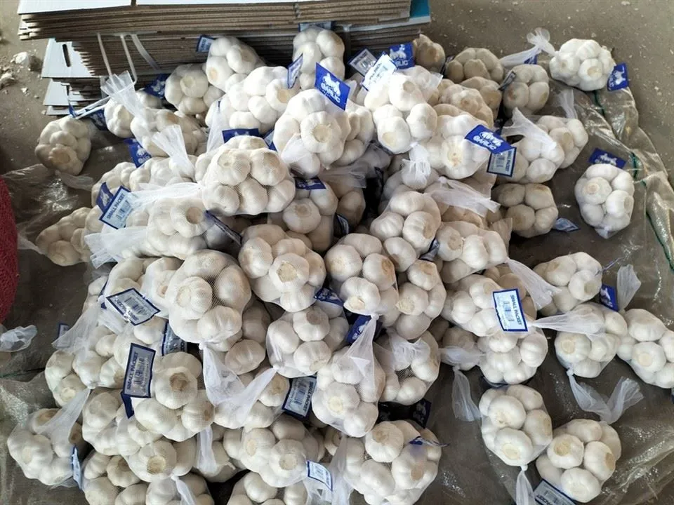 शुद्ध जेब लहसुन