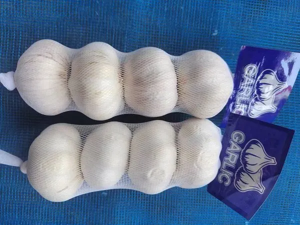 4.5 सेमी लहसुन