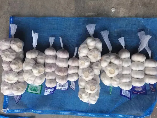 5.5 सेमी लहसुन