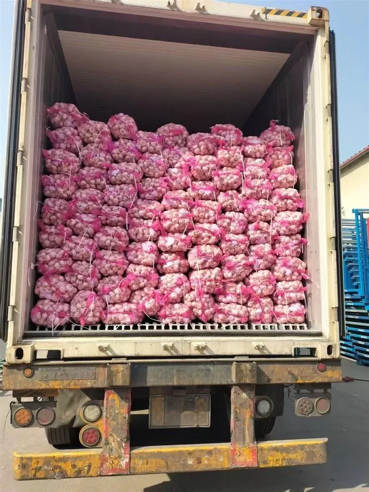 अच्छा मिश्रण लहसुन