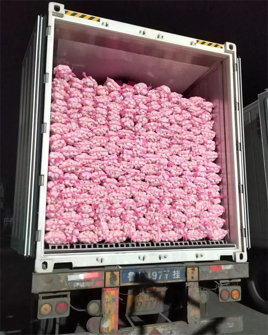 लाल नेट पॉकेट सफेद लहसुन